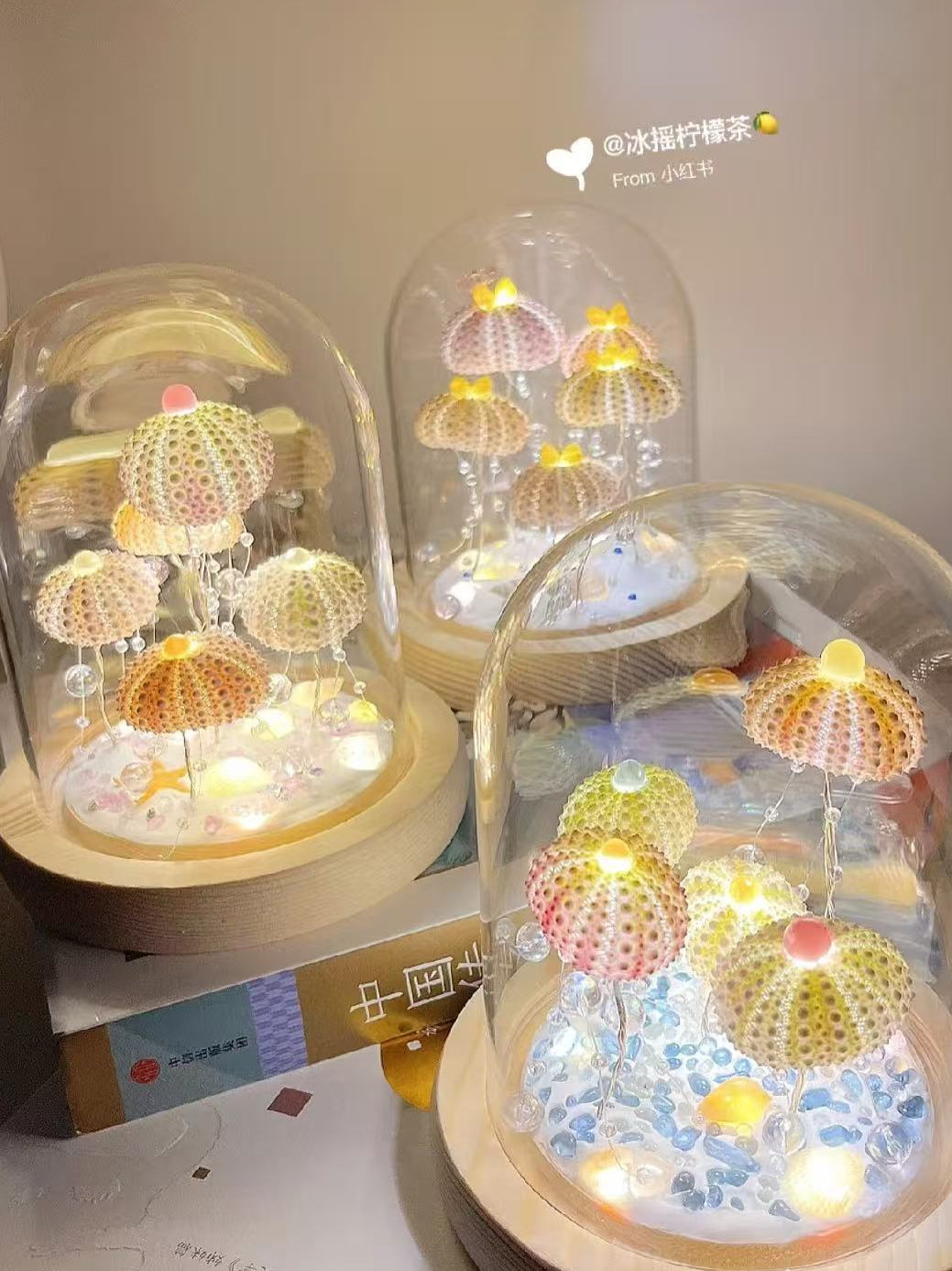 Sea Urchin Night Light – Oops Craft Studio