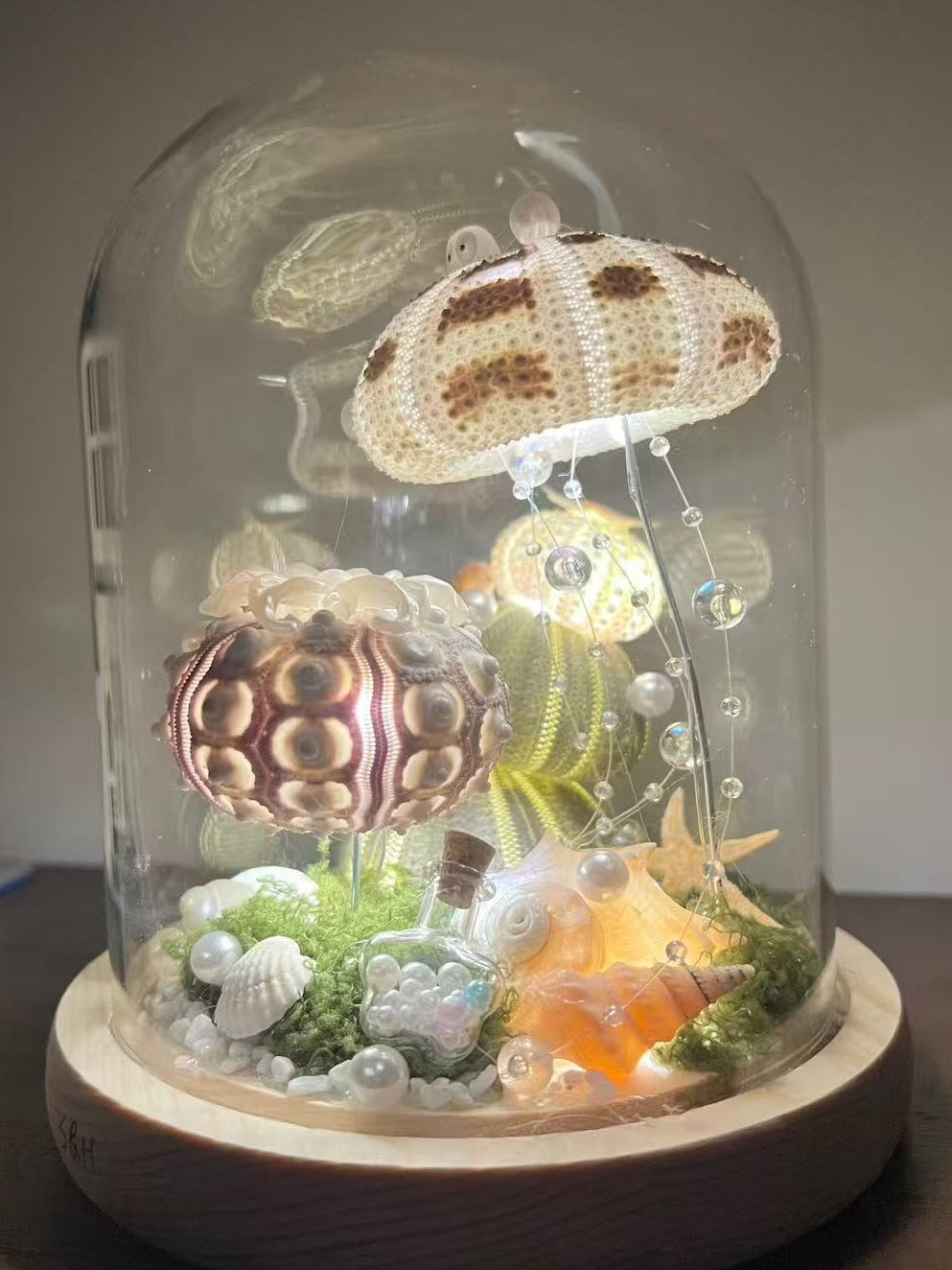 Sea Urchin Night Light – Oops Craft Studio