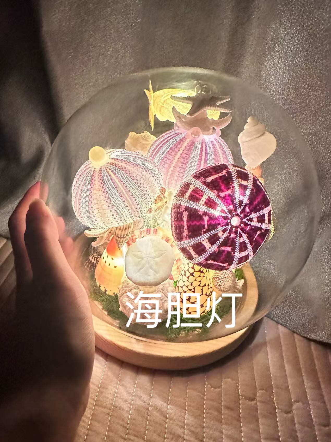 Sea Urchin Night Light