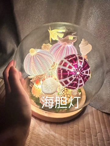 Sea Urchin Night Light